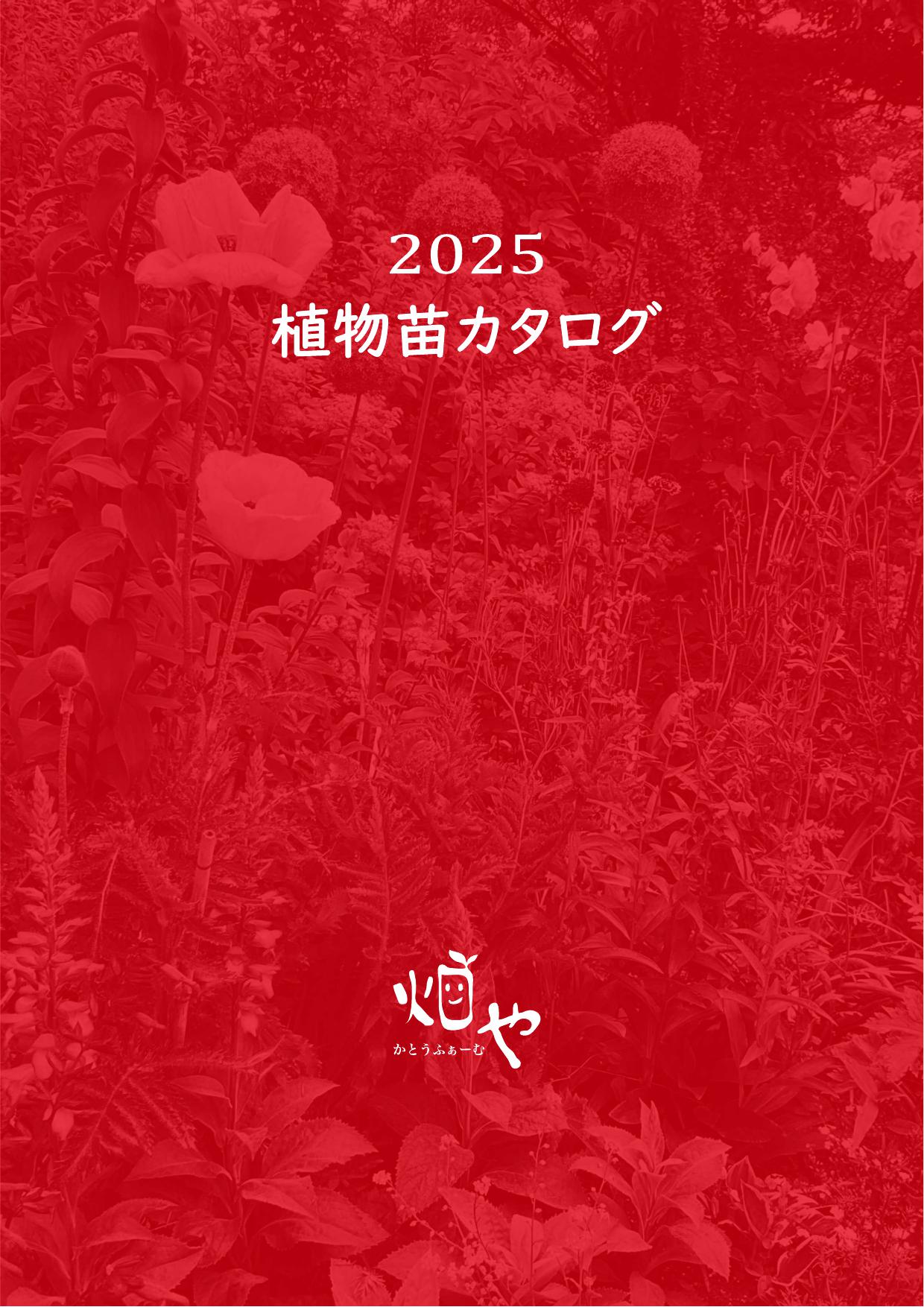2025 植物苗カタログが完成しました - 畑やかとうふぁーむ|花苗