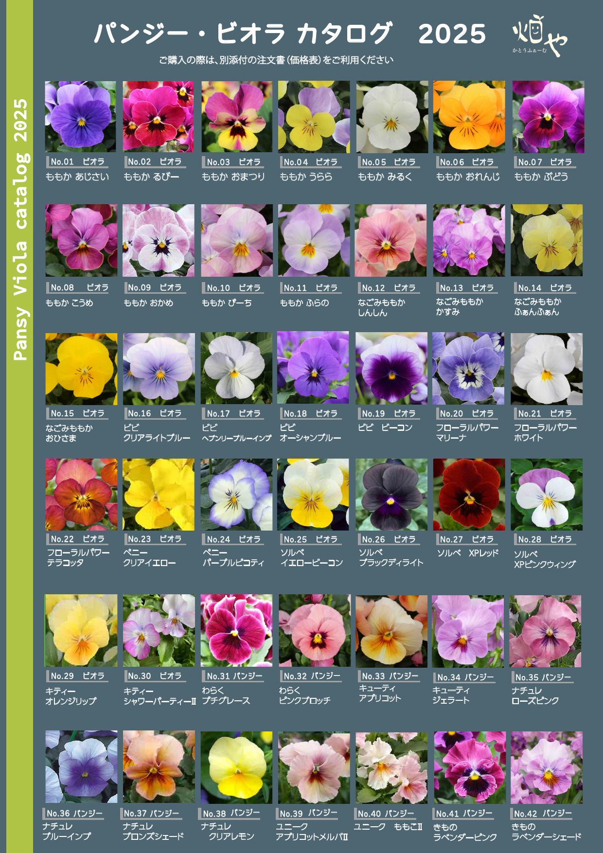 パンジーさま パンジービオラ2025カタログ - 畑やかとうふぁーむ|花苗（宿根草